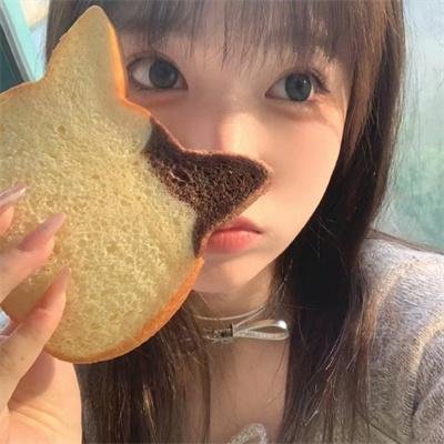 大灰熊2